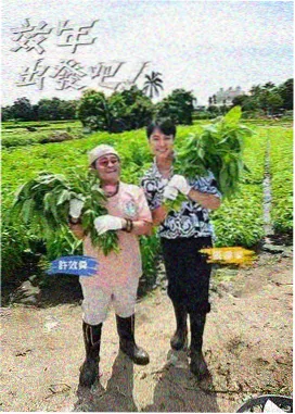 韩国综艺 一个人的露营 免费观看